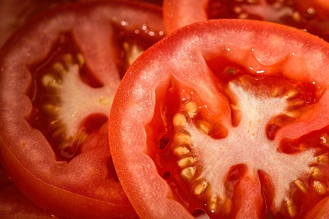 家庭菜園でトマトを育てる為に必要な５つのこと！