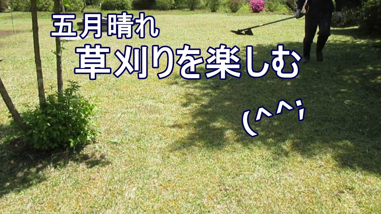 五月晴れで爽やかなので家庭菜園廻りの草刈りしました(ガーデニング)