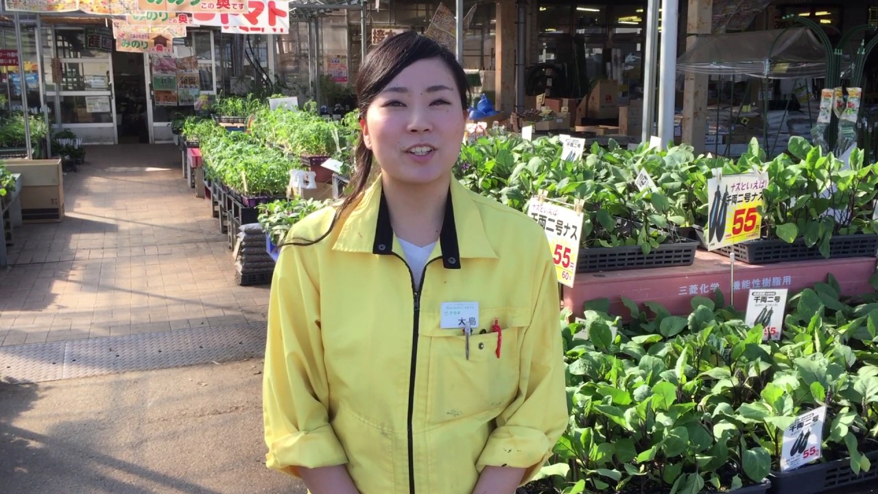 家庭菜園 ５月 中旬下旬 まだ植え付けできる 野菜苗　＃農業屋