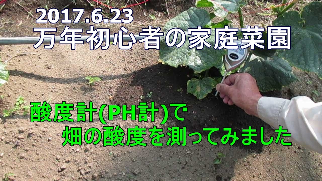 家庭菜園 酸度計(PH計)で畑の酸度を測ってみました(^O^)