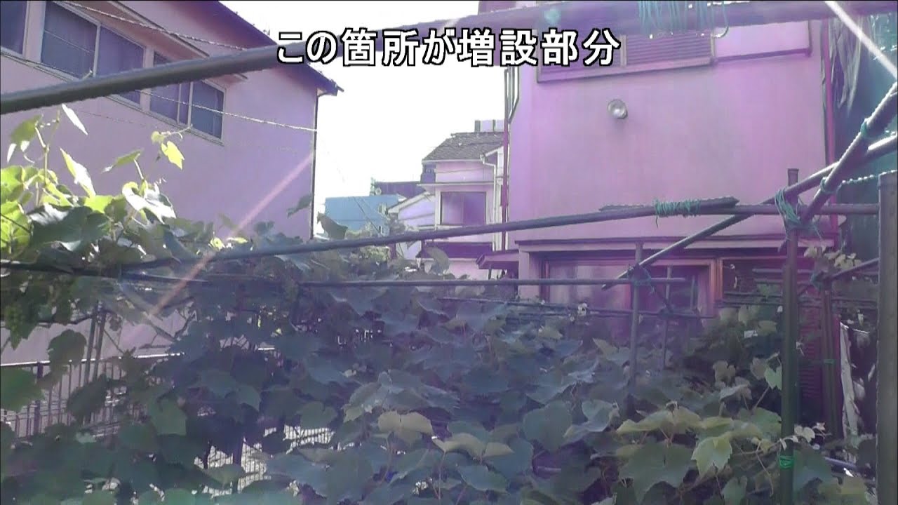 家庭菜園（107）　急に上部にブドウ棚の増設を思い立ちました