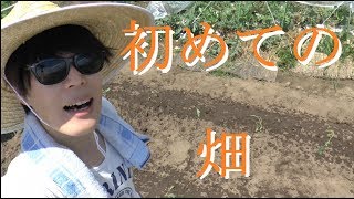 【家庭菜園】畑を耕してみた！さつまいもの苗を植える