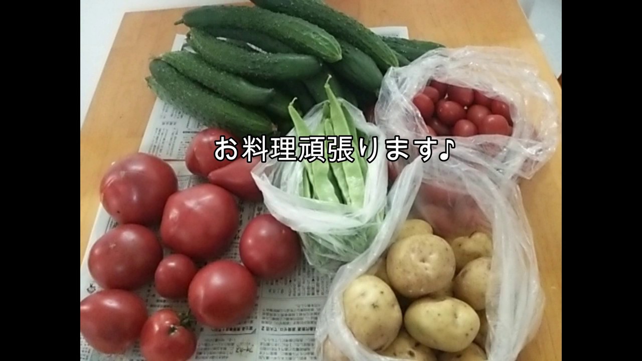 【家庭菜園】新鮮野菜で簡単手抜きサイドメニュー