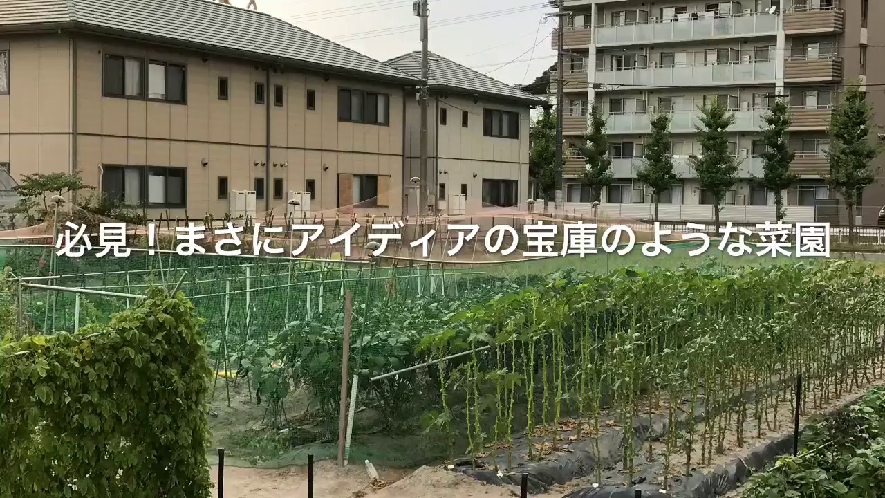 動画で家庭菜園　人の畑が見てみたい！『必見！まさにアイディアの宝庫のような菜園』Ｈ29.8.5