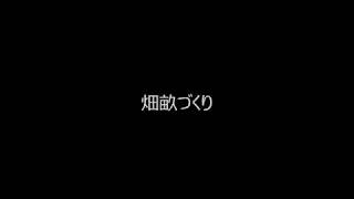 ビビリ屋の挑戦！家庭菜園に挑戦その1