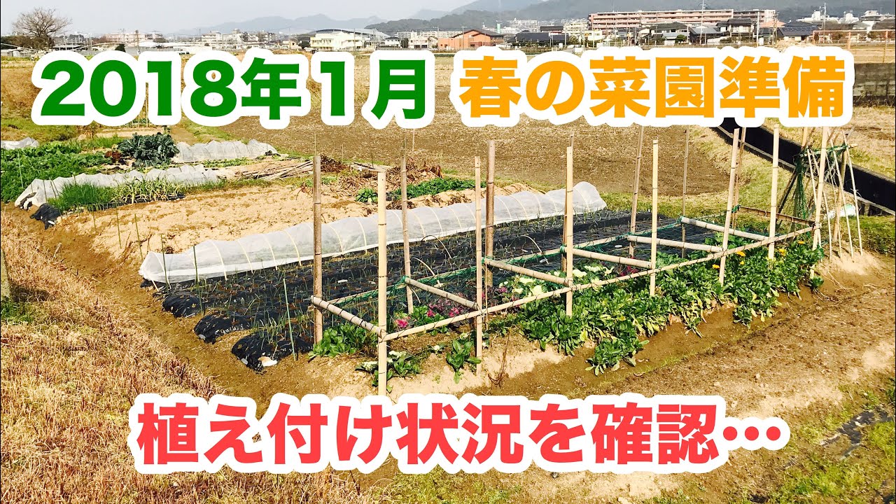 動画で家庭菜園 人の畑が見てみたい『春…菜園準備の参考に！植え付け状況を確認する…』H30.1.20