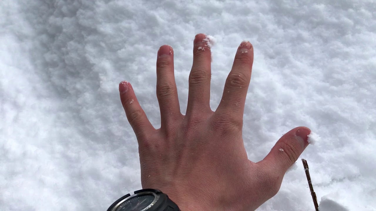 趣味の家庭菜園、雪！（2月12日）