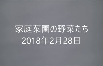 1月 とれた Toreta Net