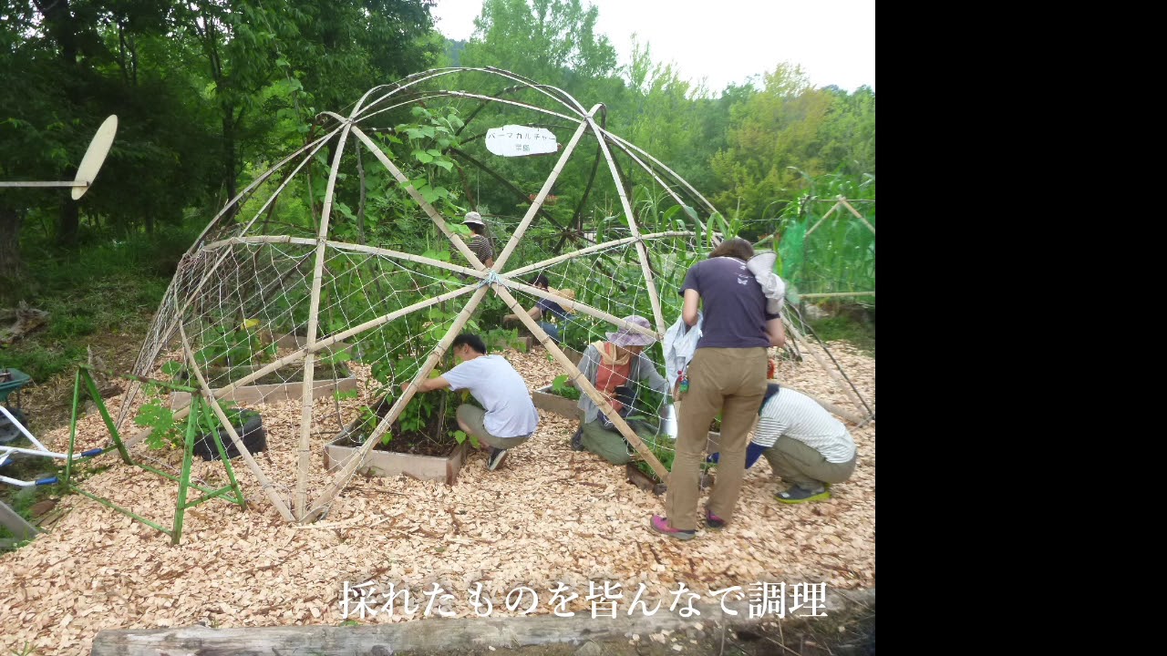 パーマカルチャー菜園　食べる 実感講座  カレー編＠チャッタナの森（多可町）