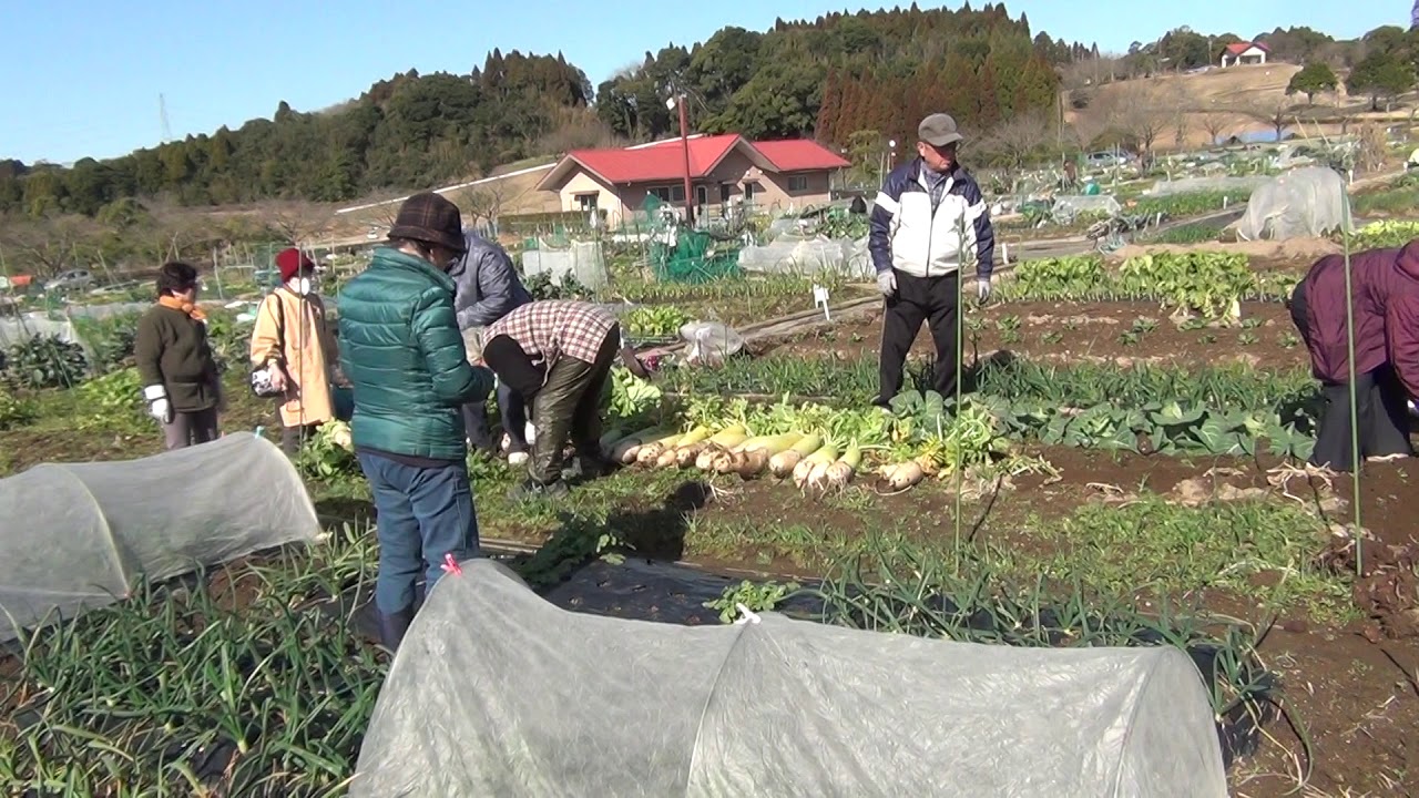 みみずく菜園