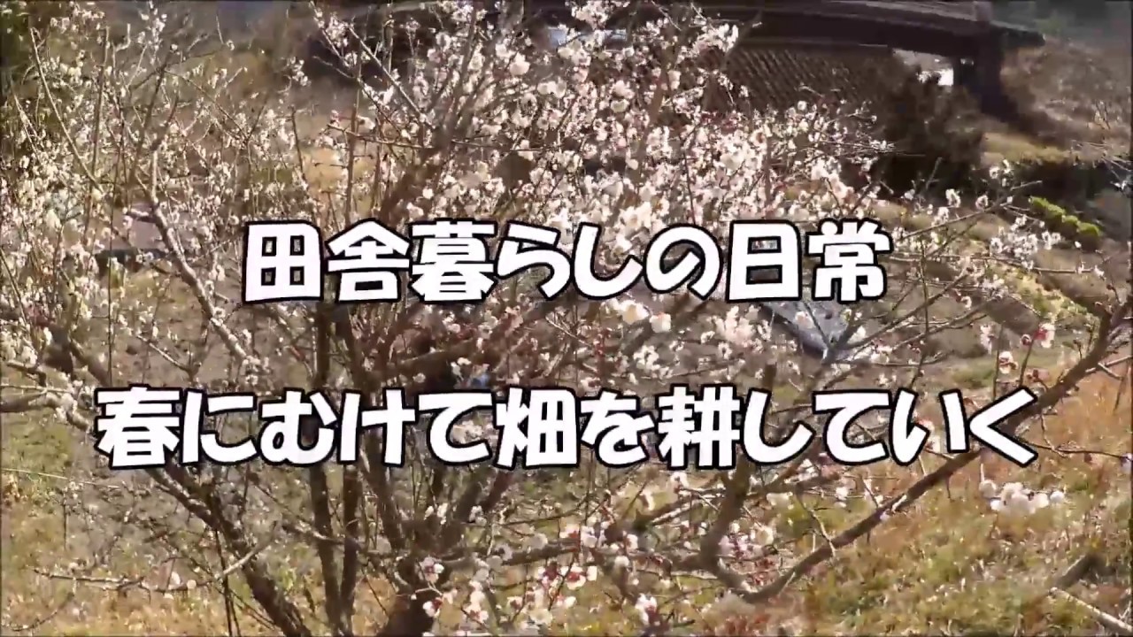 春に向けて畑を耕す　田舎移住者の家庭菜園