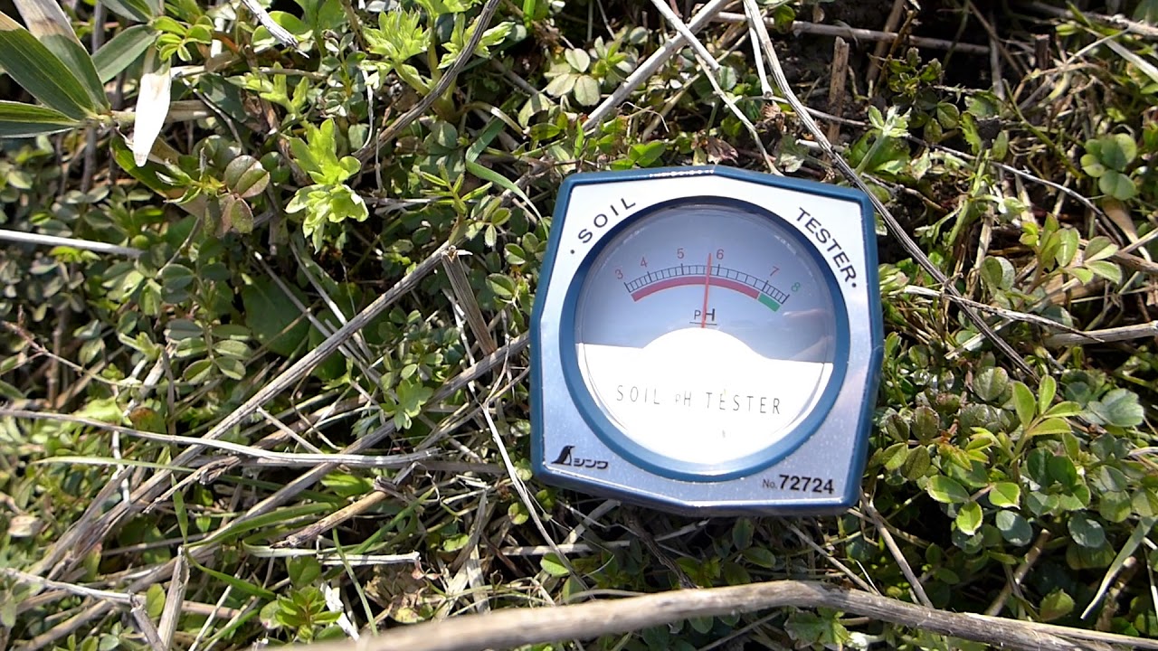 家庭菜園やるわ#2  pH土壌酸度測定