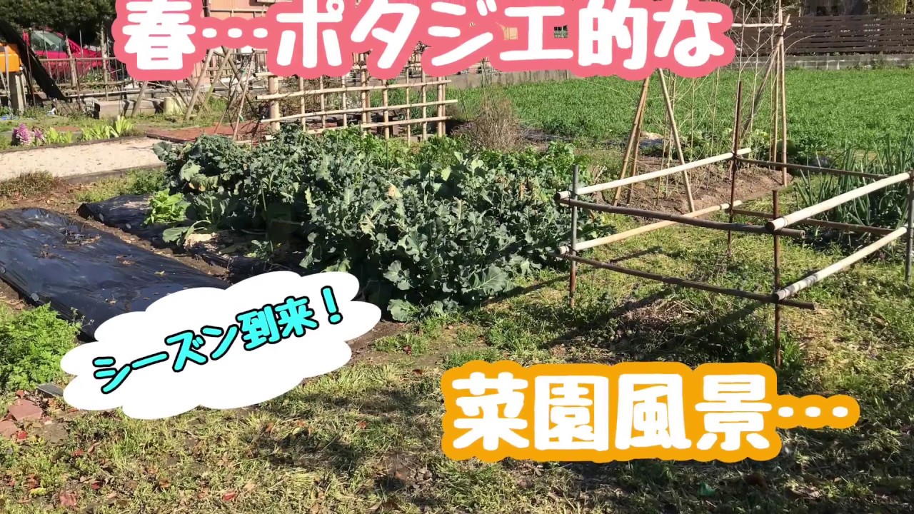 動画で家庭菜園　人の畑が見てみたい『春…ポタジェ的な菜園風景』Ｈ30.3.18