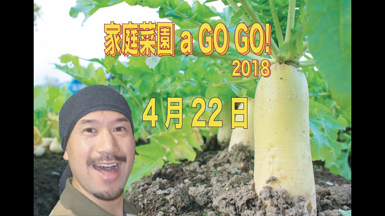 家庭菜園 a GO GO!2018 4月22日