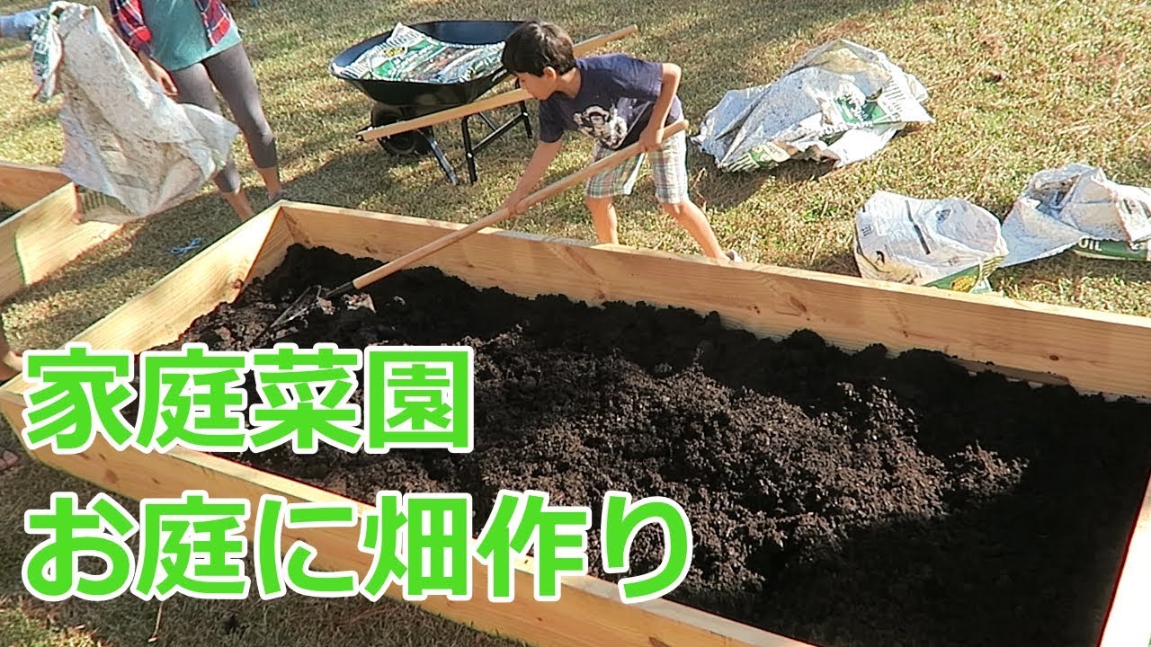 アメリカ家族Vlog 家庭菜園 庭に畑を作ろう DIY RAISED GARDEN BED