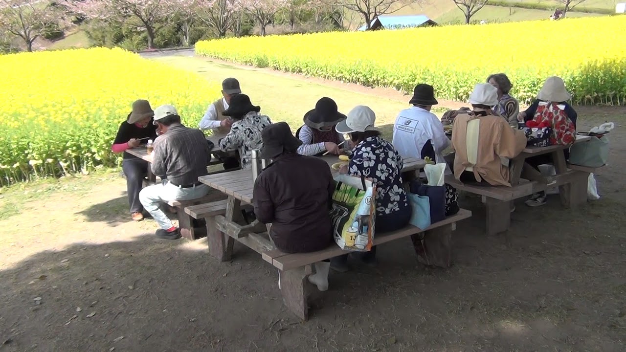 みみずく菜園　花見