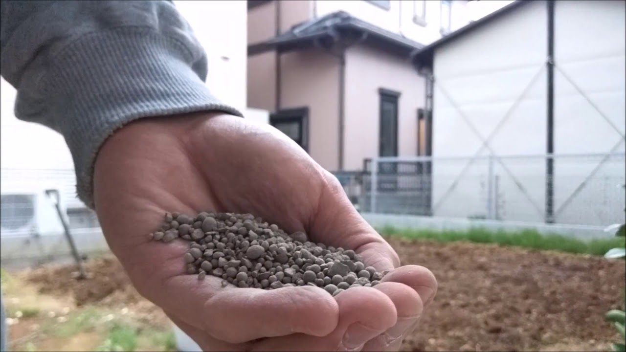 家庭菜園。土作りの最終段階は、苦土石灰を撒く事。粒状苦土石灰が蒔きやすい。this is the final phase of making  soil of my farm.