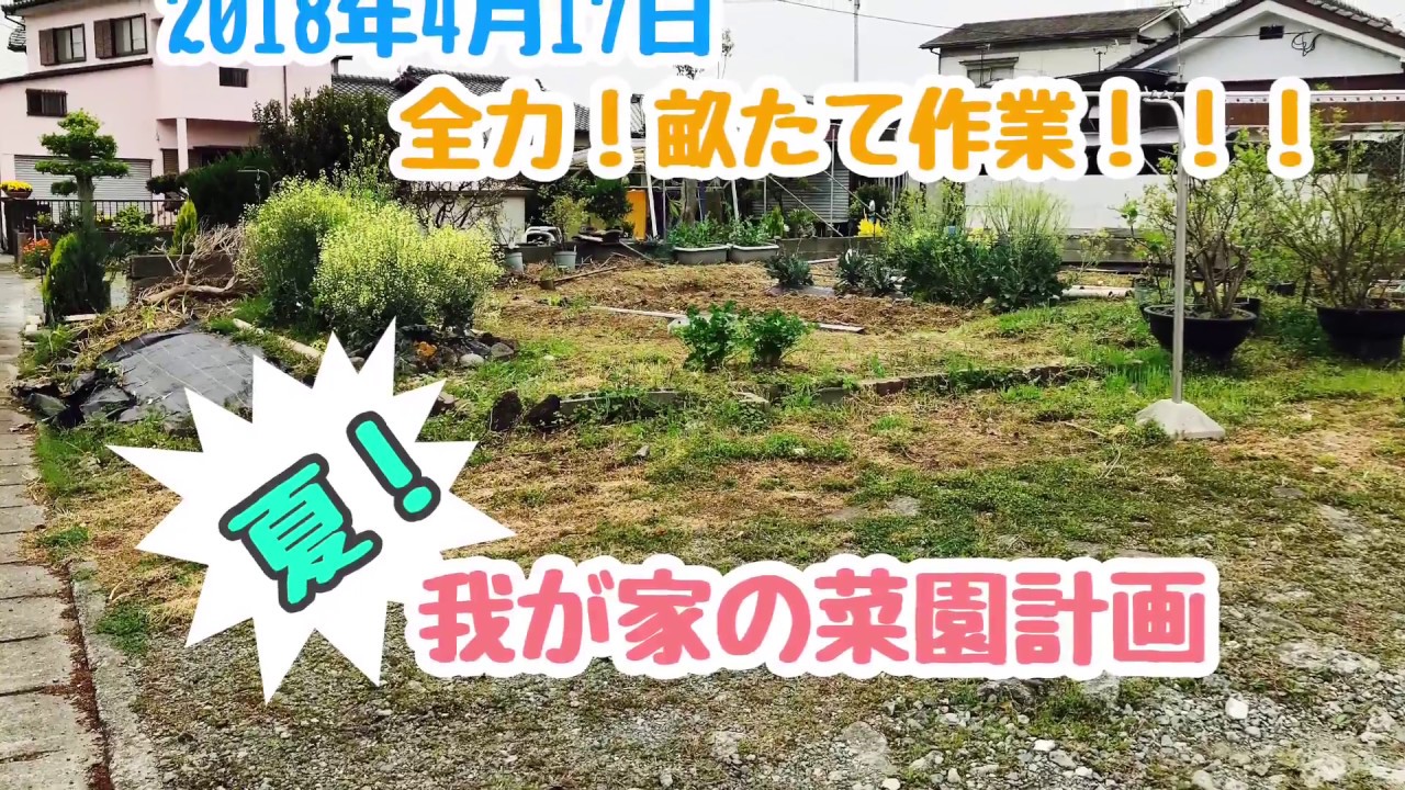 動画で家庭菜園『全力！畝たて作業！！！夏！我が家の菜園計画…現在の畑の様子など』Ｈ30.4.17