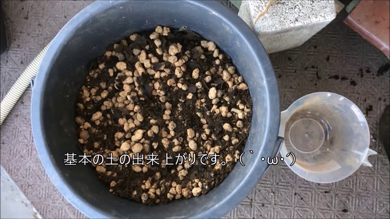 家庭菜園　土の作り方　土壌栽培