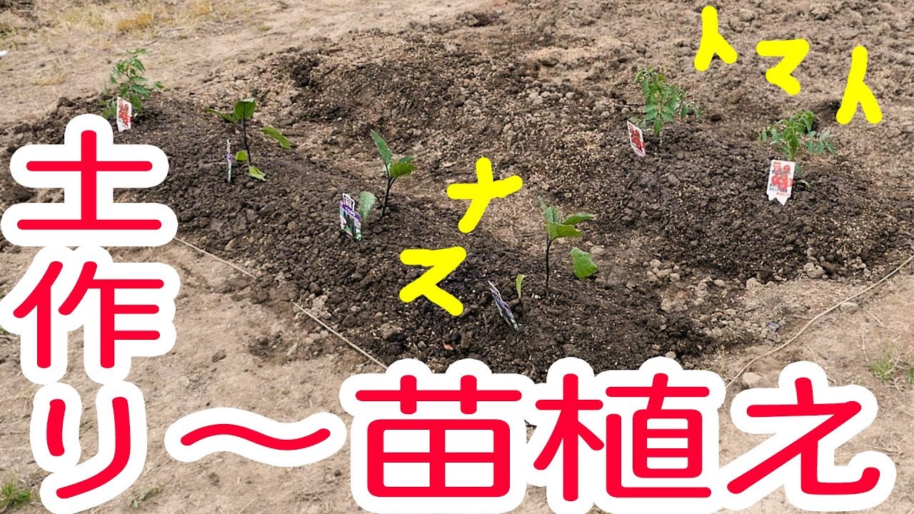 【家庭菜園】#2 ナスとトマトの苗植え～土作り(続き)から苗植えまで～
