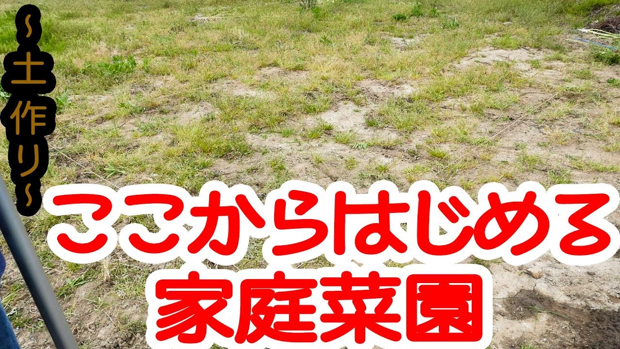 【家庭菜園】雑草ボーボーからの畑作り1～まずは土作りから～