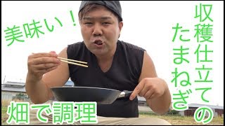 【家庭菜園】「収穫仕立てのたまねぎを食べるぞ〜！」 【Eat onions】