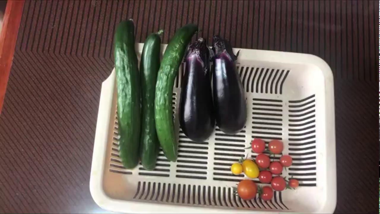 【家庭菜園茄子、キュウリ、ミニトマト収穫】（6月21日撮影）