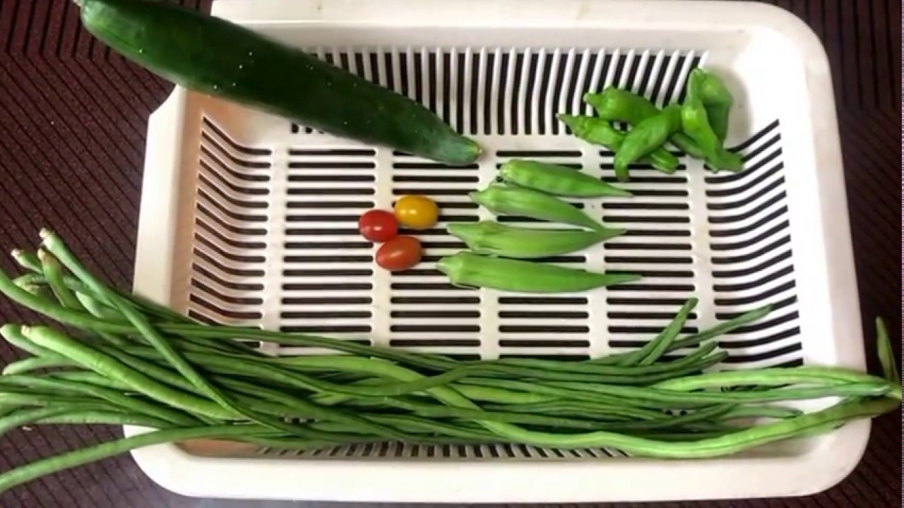 【家庭菜園キュウリ,ミニトマト,オクラ他収穫】（７月16日撮影）