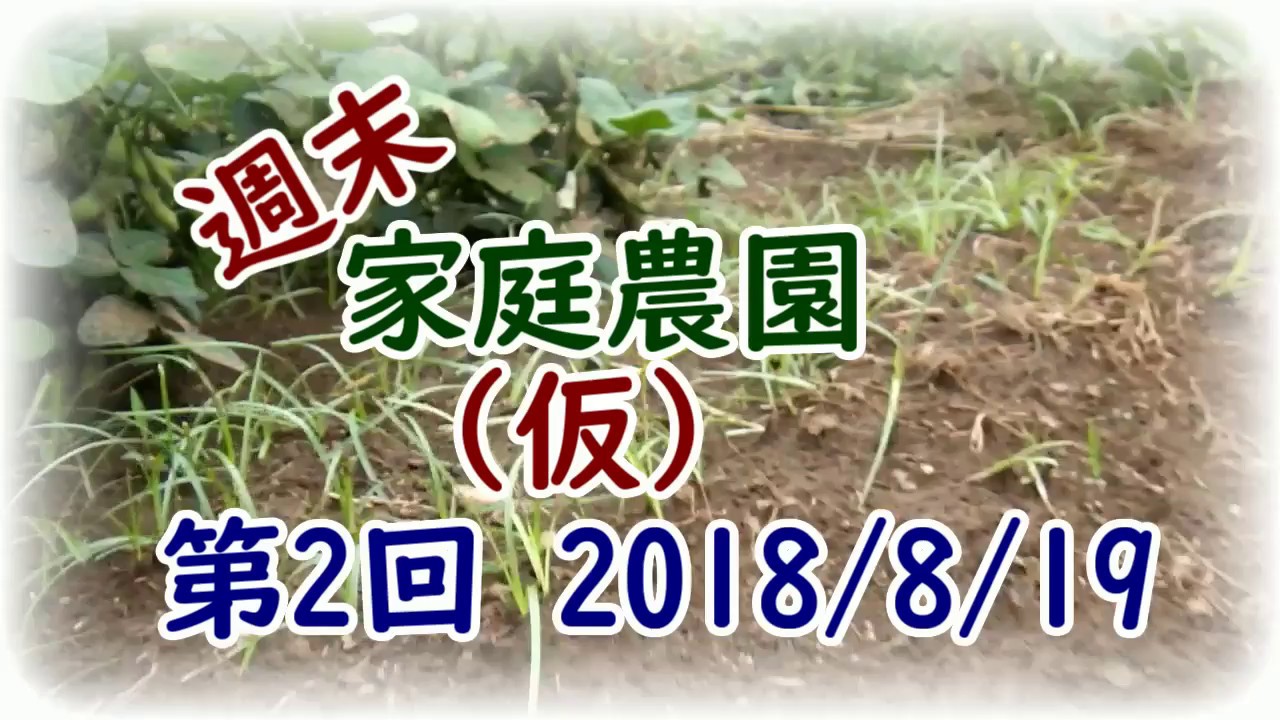 家庭農園 Part2 [2018/8/19]