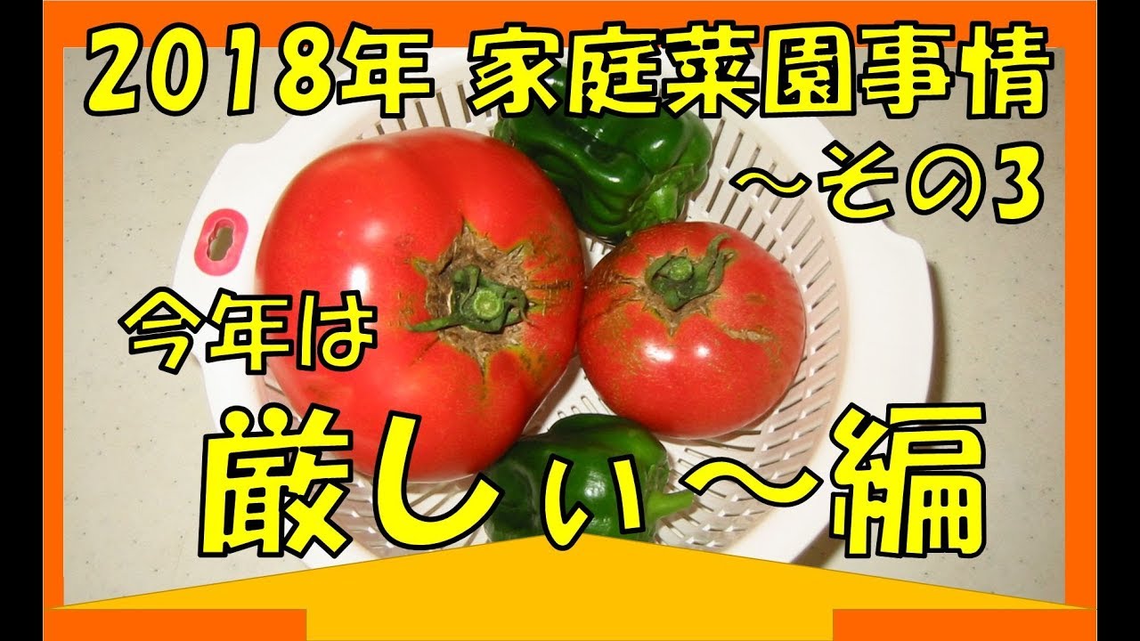 2018　9月　家庭菜園事情　その3～今年は厳しぃ～編