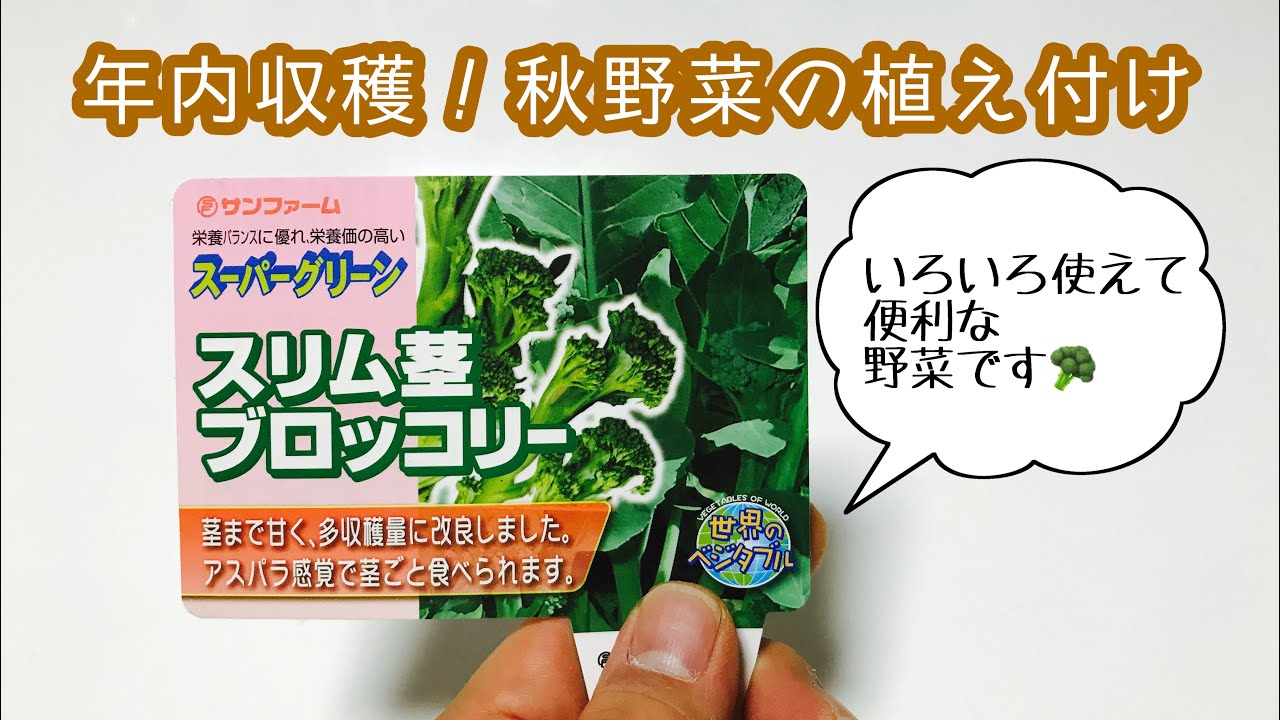 動画で家庭菜園『年内収穫！秋野菜の植え付け…茎ブロッコリー(スーパーグリーン、スティックセニョール)』H30.9.11