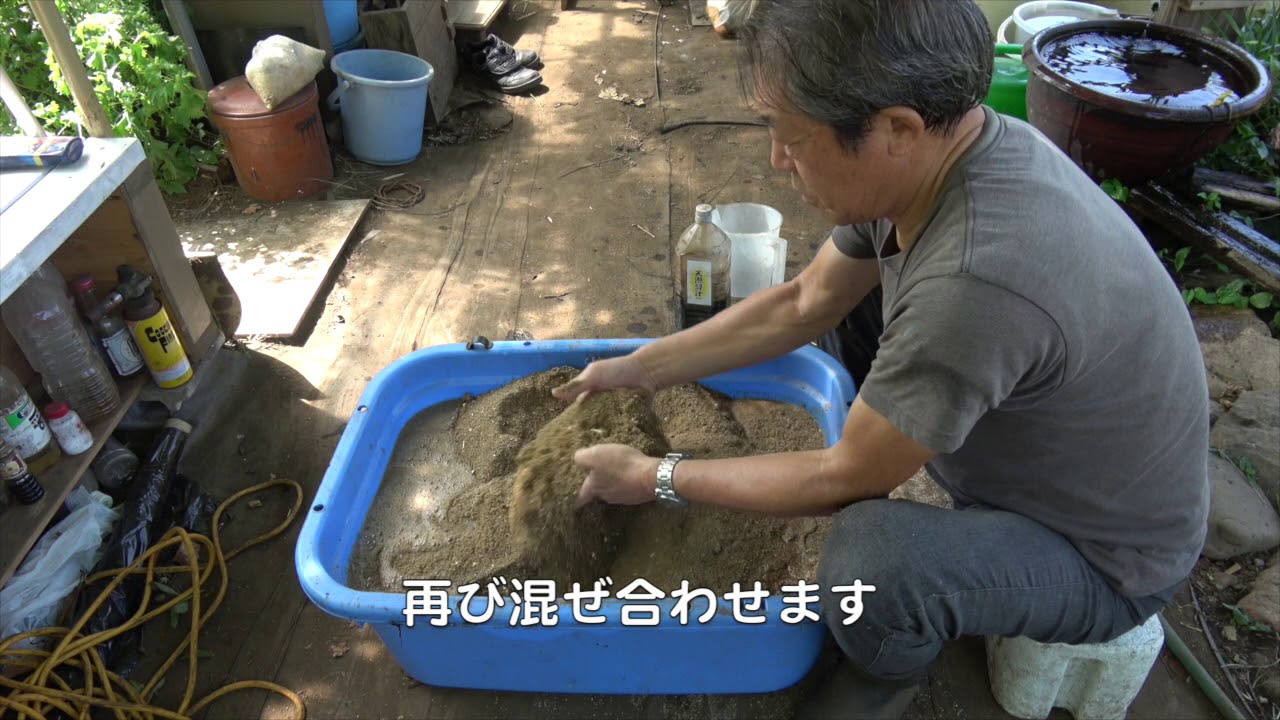 菜園だより180919ボカシ仕込み・ナス片付け