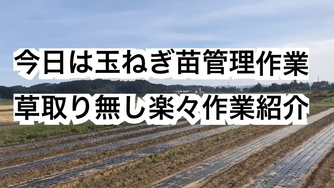 農業・家庭菜園・草取り無しで楽々野菜作り