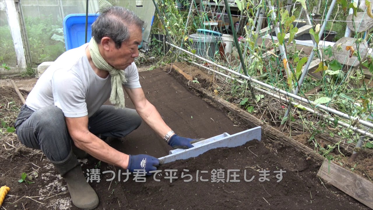 菜園だより181010長芋→ホウレンソウ