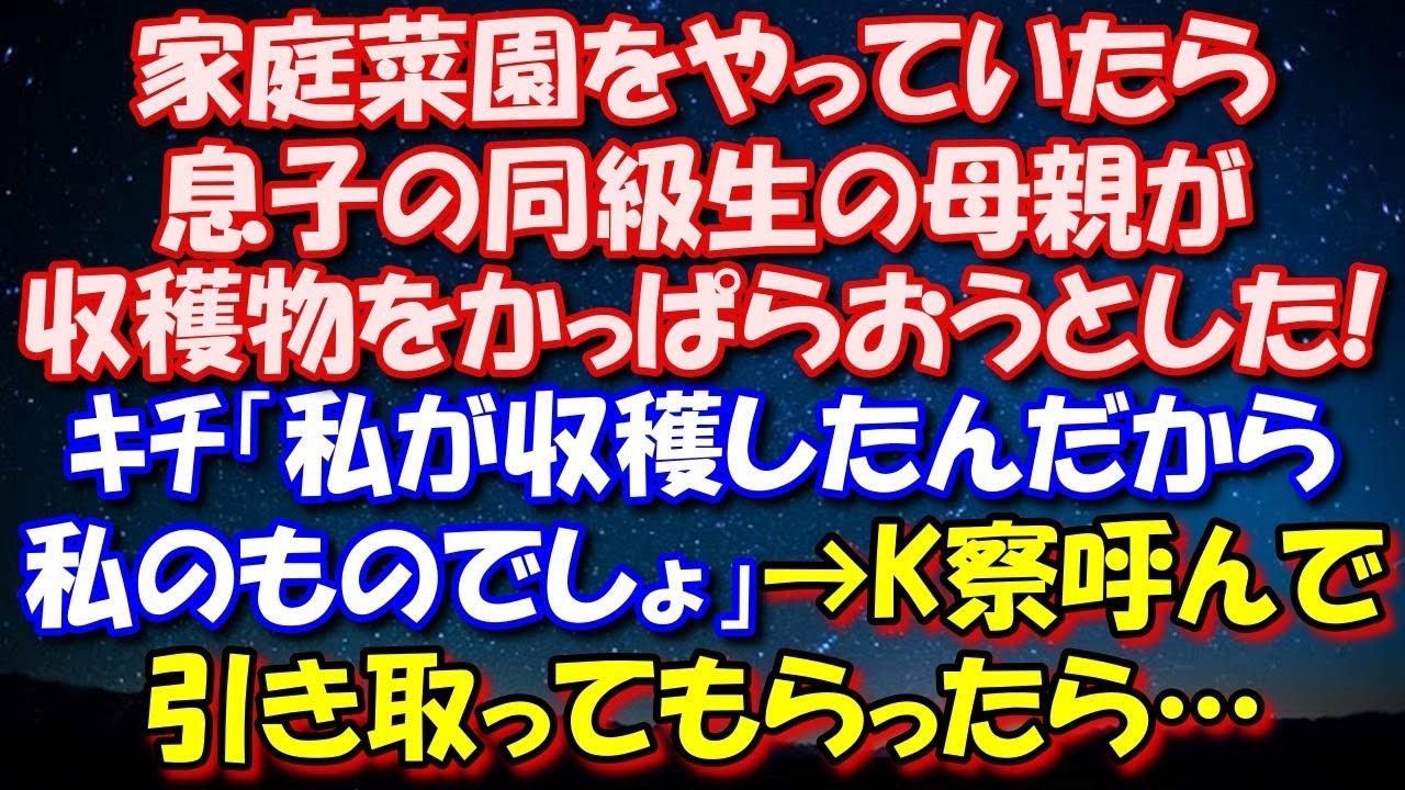 【スカッとする話】 家庭菜園をやっていたら息子の同級生の母親が収穫物をかっぱらおうとした!ｷﾁ「私が収穫したんだから私のものでしょ!」→K察呼んで引き取ってもらうことに。そしたら… 修羅場スカッととろ