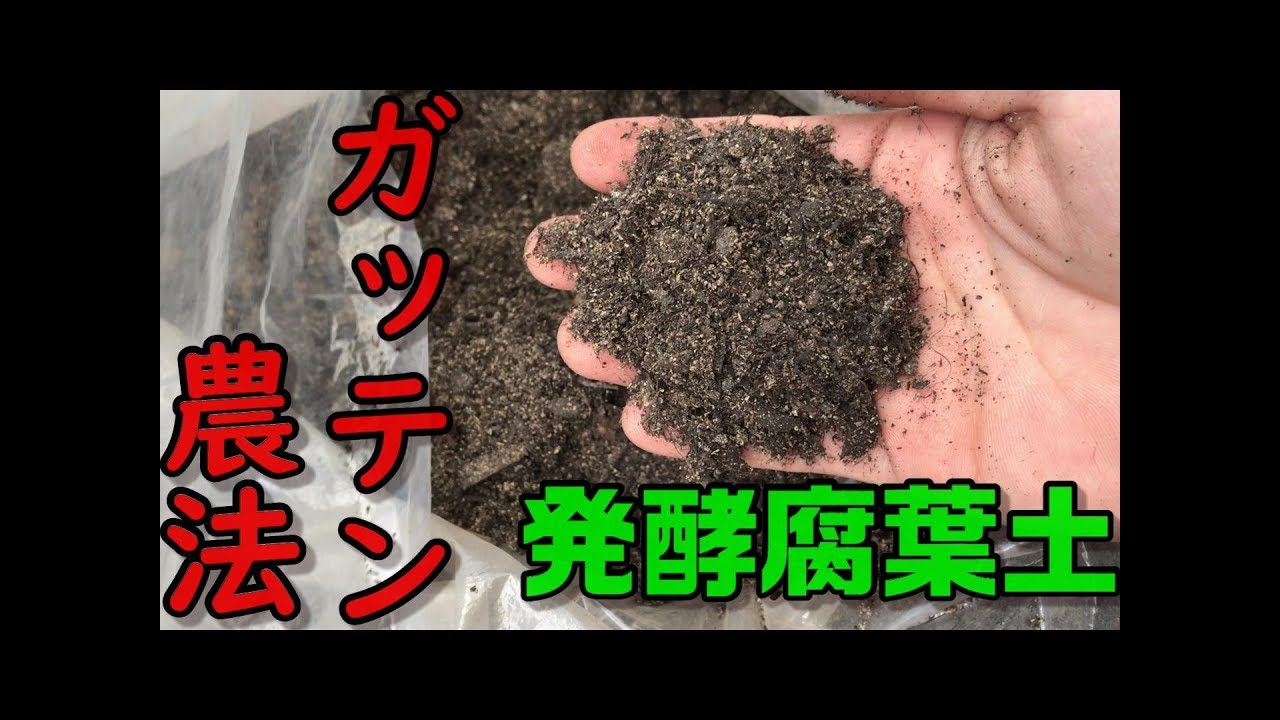 【ガッテン農法】発酵腐葉土を作ってみた　自然農法　家庭菜園