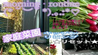 #モーニングルーティン#家庭菜園#vlog★morning　routine★マイペースな１日。家庭菜園など