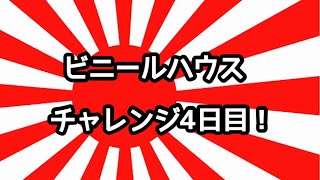 動画で家庭菜園『ビニールハウスチャレンジ4日目！ ドアの取り付け、側面ビニール張り…』H30.11.25