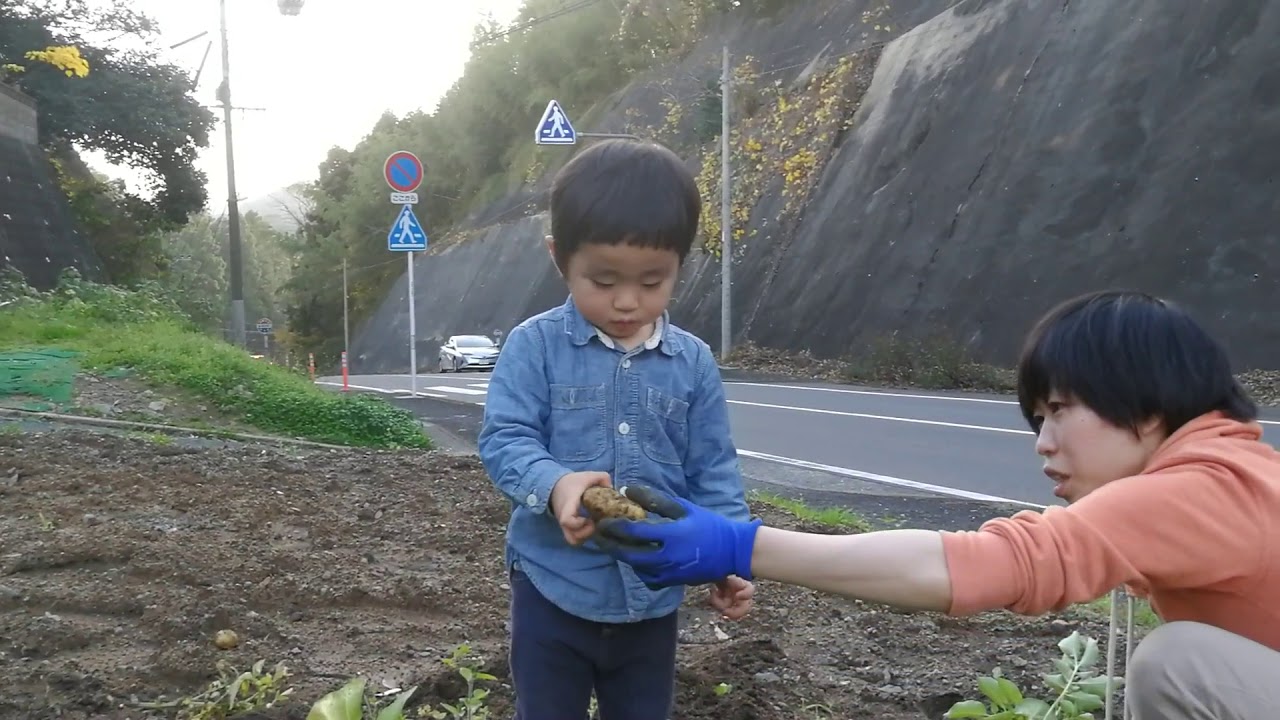 2018 家庭菜園収穫1