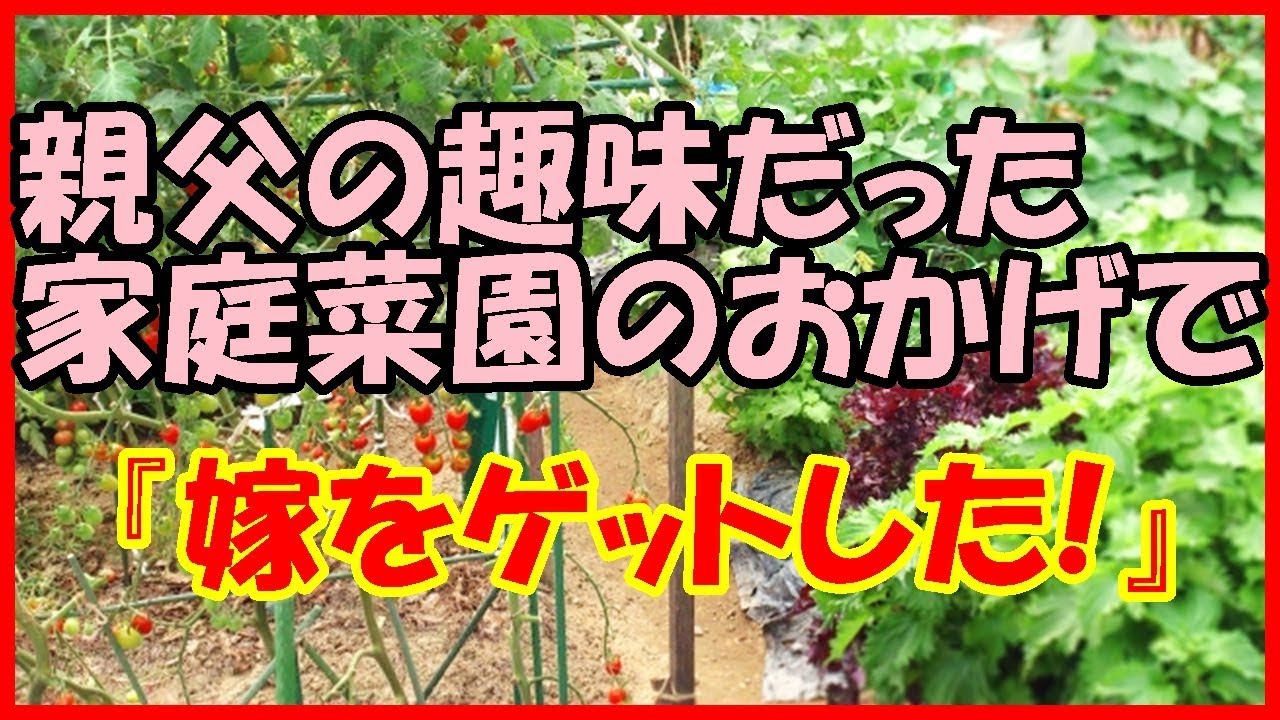 【感動する話 職場】親父の趣味だった家庭菜園のおかげで『嫁をゲットした！』【馴れ初め いい話】