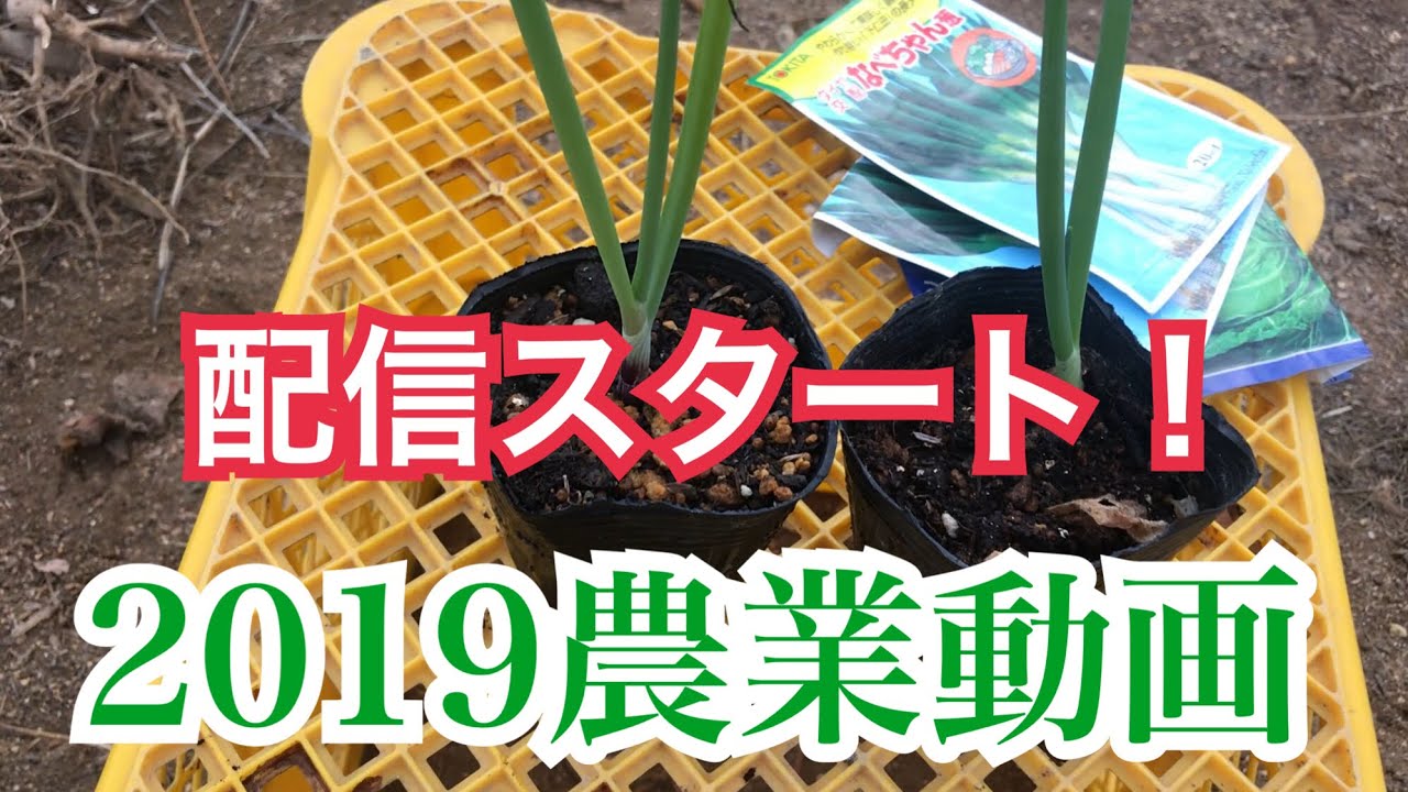 農業・家庭菜園  2019配信開始です