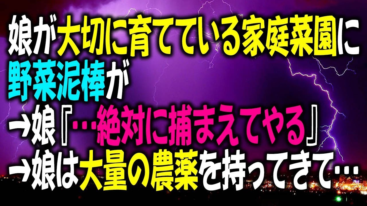 娘が大切に育てている家庭菜園に野菜泥棒が→娘『…絶対に捕まえてやる』→娘は大量の農薬を持ってきて…