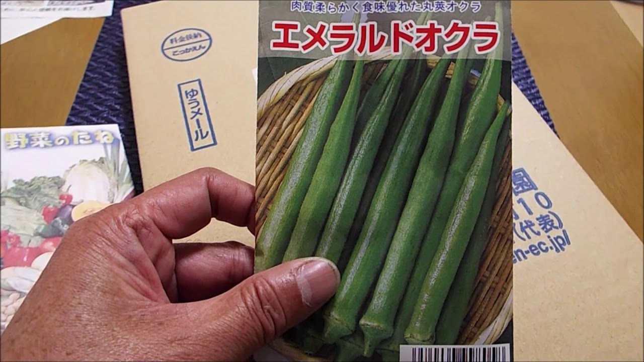 香川の菜園日記野菜のたねの紹介　2019・1・31