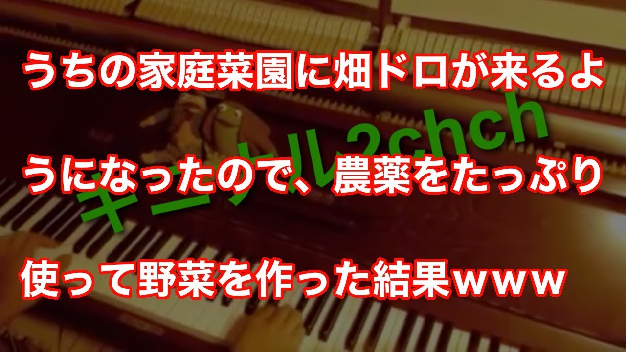 うちの家庭菜園に畑ドロが来るようになったので、農薬をたっぷり使って野菜を作った結果ｗｗｗ再UP