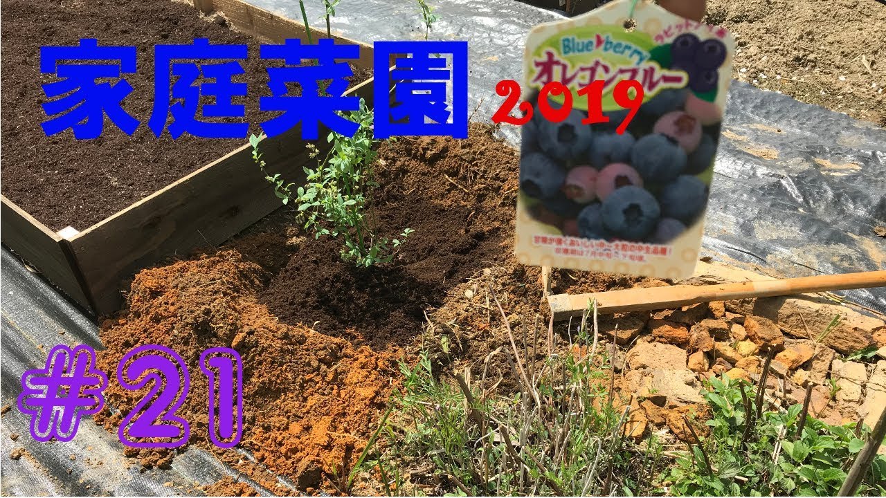 【Garden】家庭菜園2019【#21】