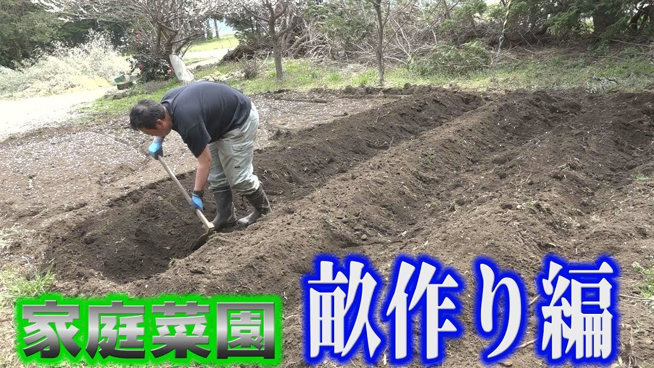 【農作業】初心者がゼロから家庭菜園始めます！【山田主導企画】