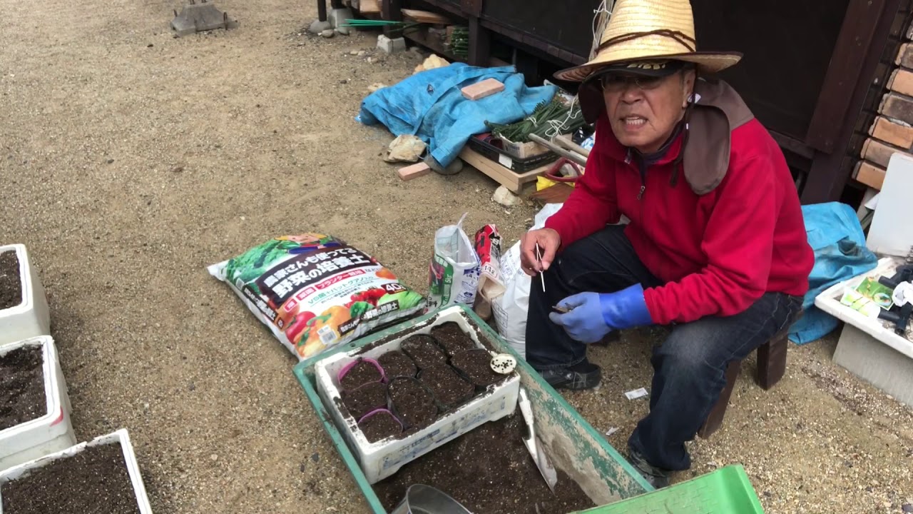 家庭菜園苗床作りと苗植え付けオクラ、大豆、サンチュ、レタス等植え付け。