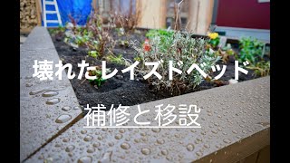 【家庭菜園】レイズドベッドが壊れたので補修と移設する【DIY】/ raised bed,potager