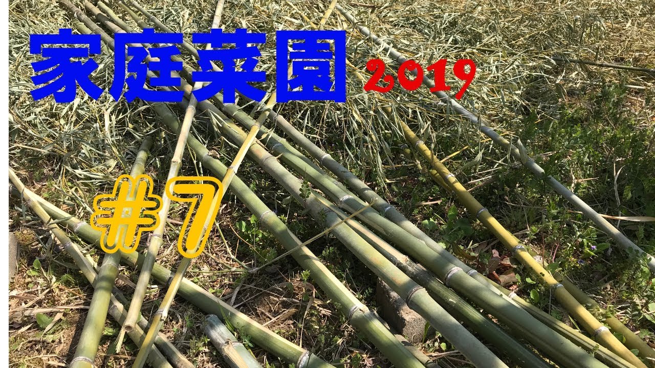 【Bamboo Bamboo Bamboo】家庭菜園2019【#7】