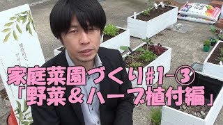 家庭菜園づくり#1-③「野菜＆ハーブ植付編」【庭DIY#1】